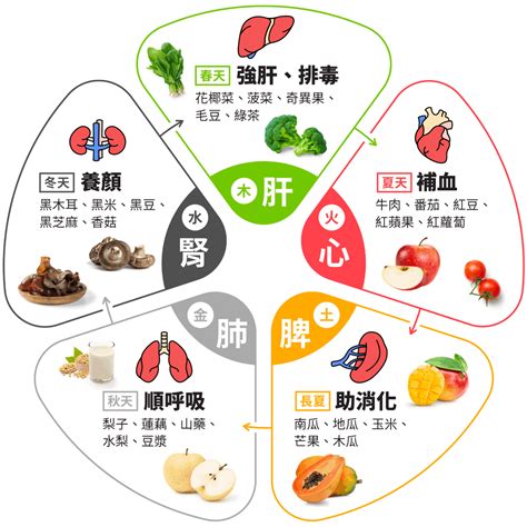 銅對身體的影響|銅的功效、怎麼吃及攝取量完整說明